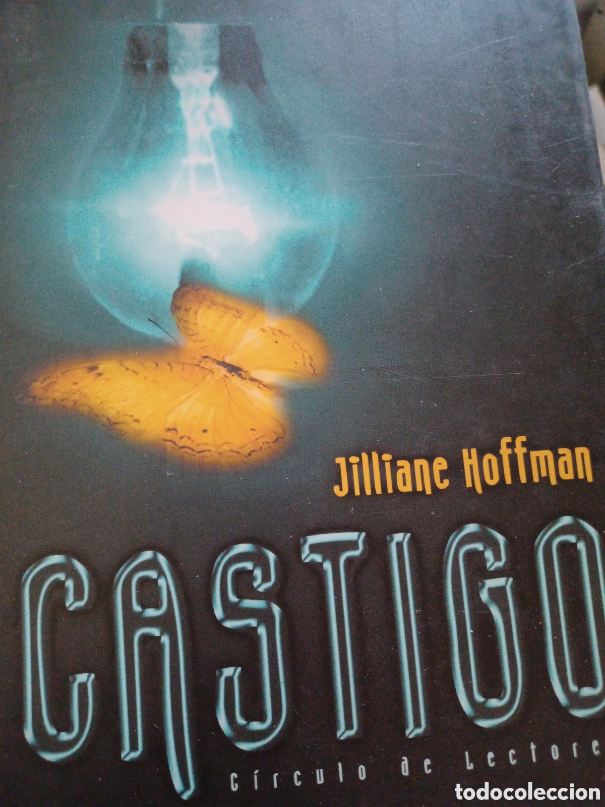 Libros: Barybook. 271. . Castigo Jilliane Hoffmann c&iacute;rculo de lectores - Foto 1