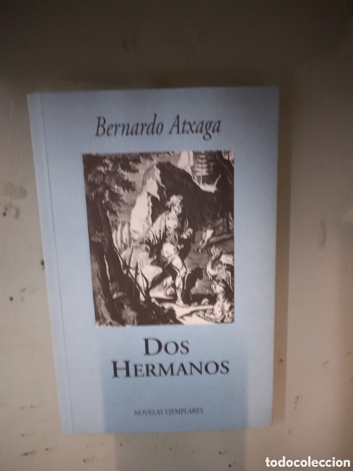 Libros: Bernardo Atxaga, Dos hermanos, Novelas ejemplares - Foto 1