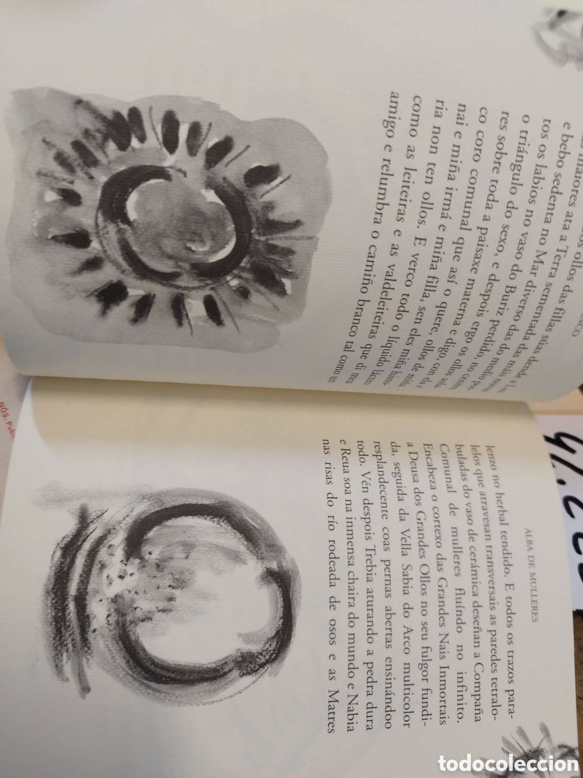 Libros: ALBA DE MULLERES - BLANCO,Carmen - Foto 4