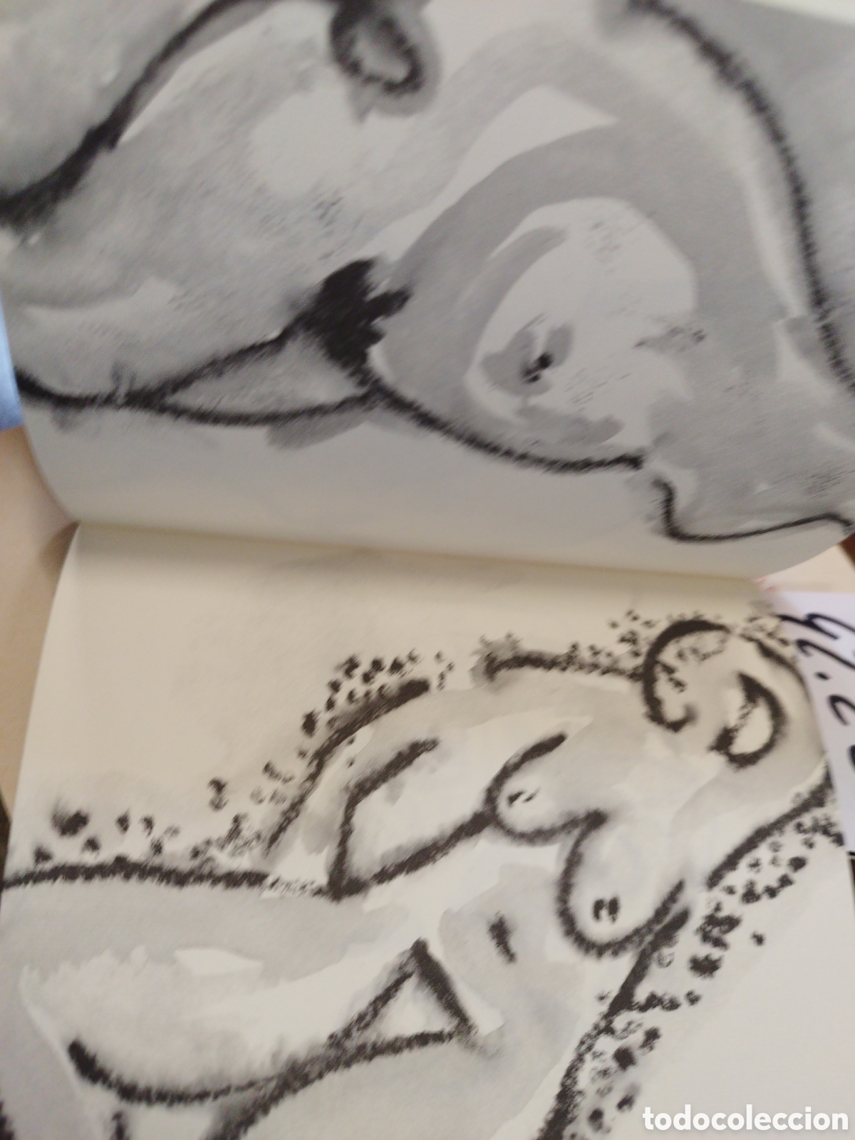 Libros: ALBA DE MULLERES - BLANCO,Carmen - Foto 6