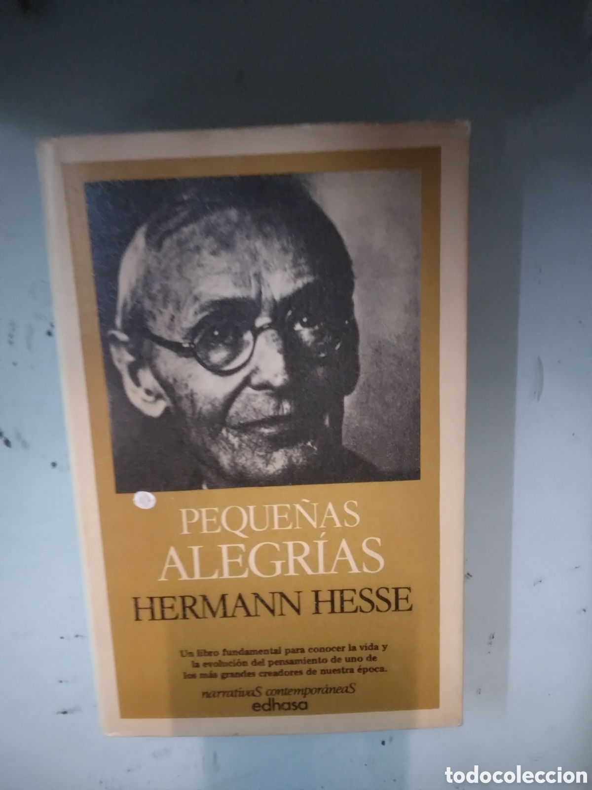 Libros: Hermann Hesse, Peque&ntilde;as alegrias, EDHASA - Foto 1