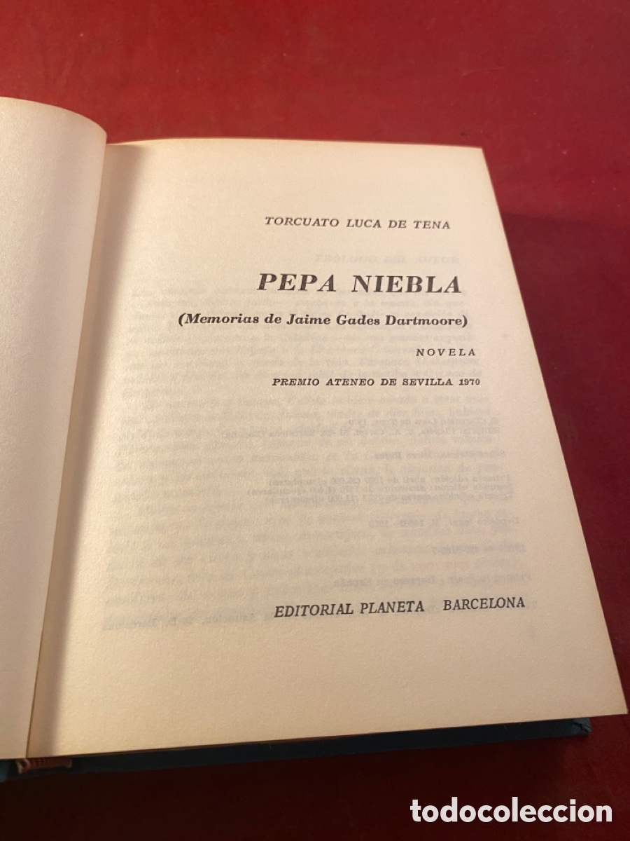 Libros: PEPA NIEBLA. Premio Atenea de Sevilla 1970 - Foto 1