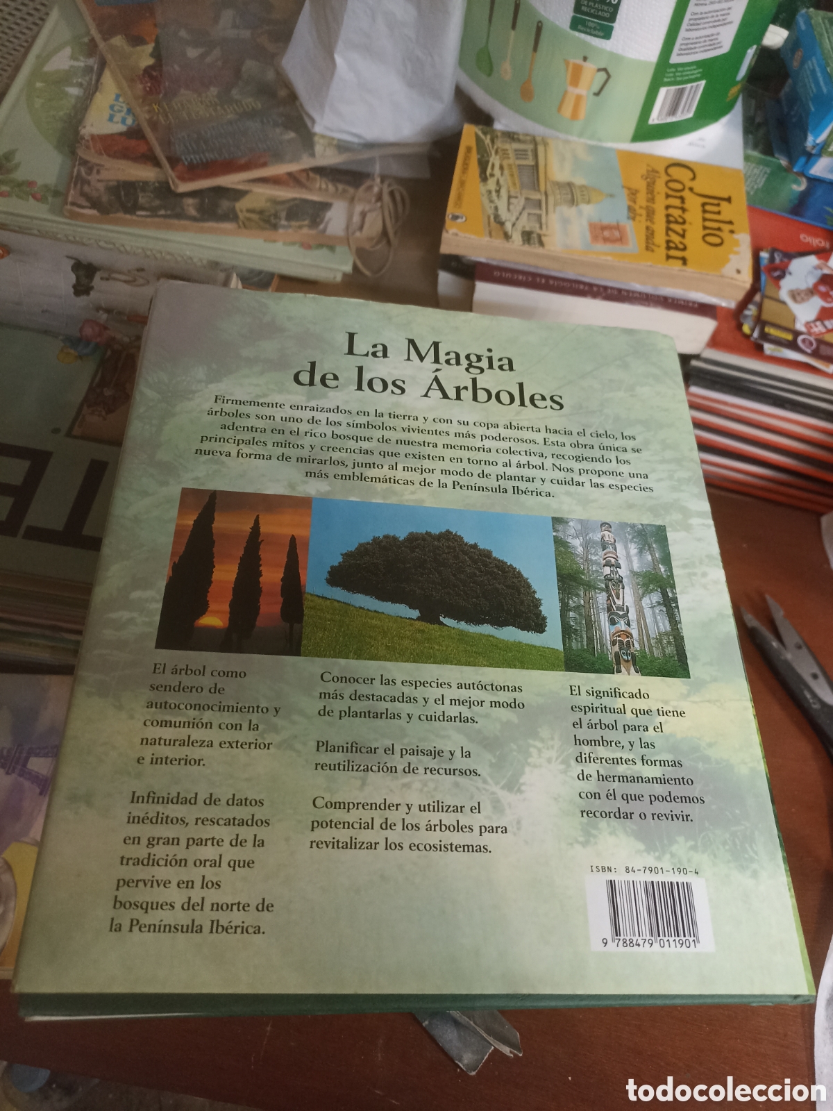 Libros: La magia de los &aacute;rboles Ignacio Abella , editorial integral - Foto 2
