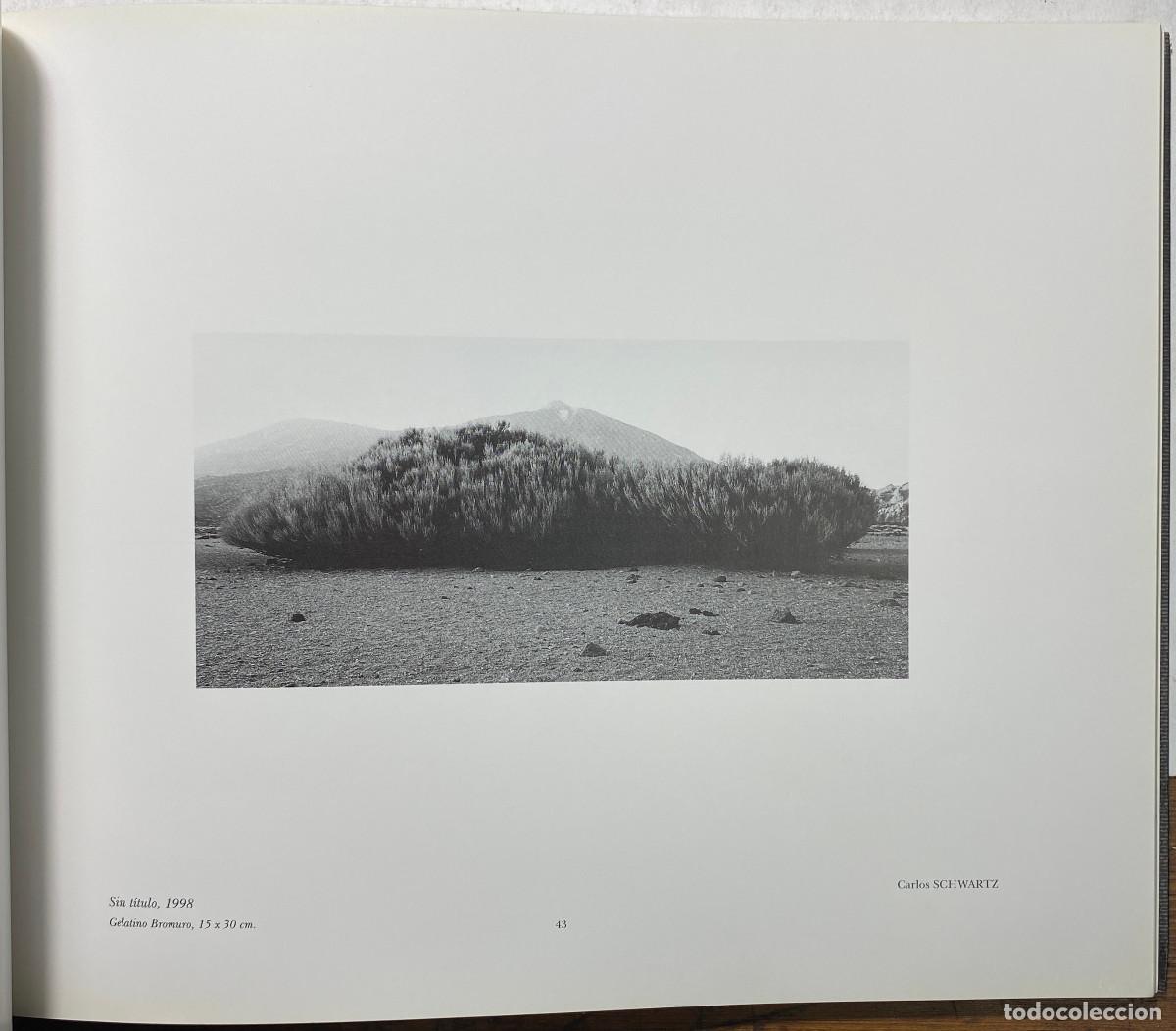 Libros: EL REY DORMIDO - EL TEIDE - TENERIFE - CANARIAS - 1998 - Foto 5