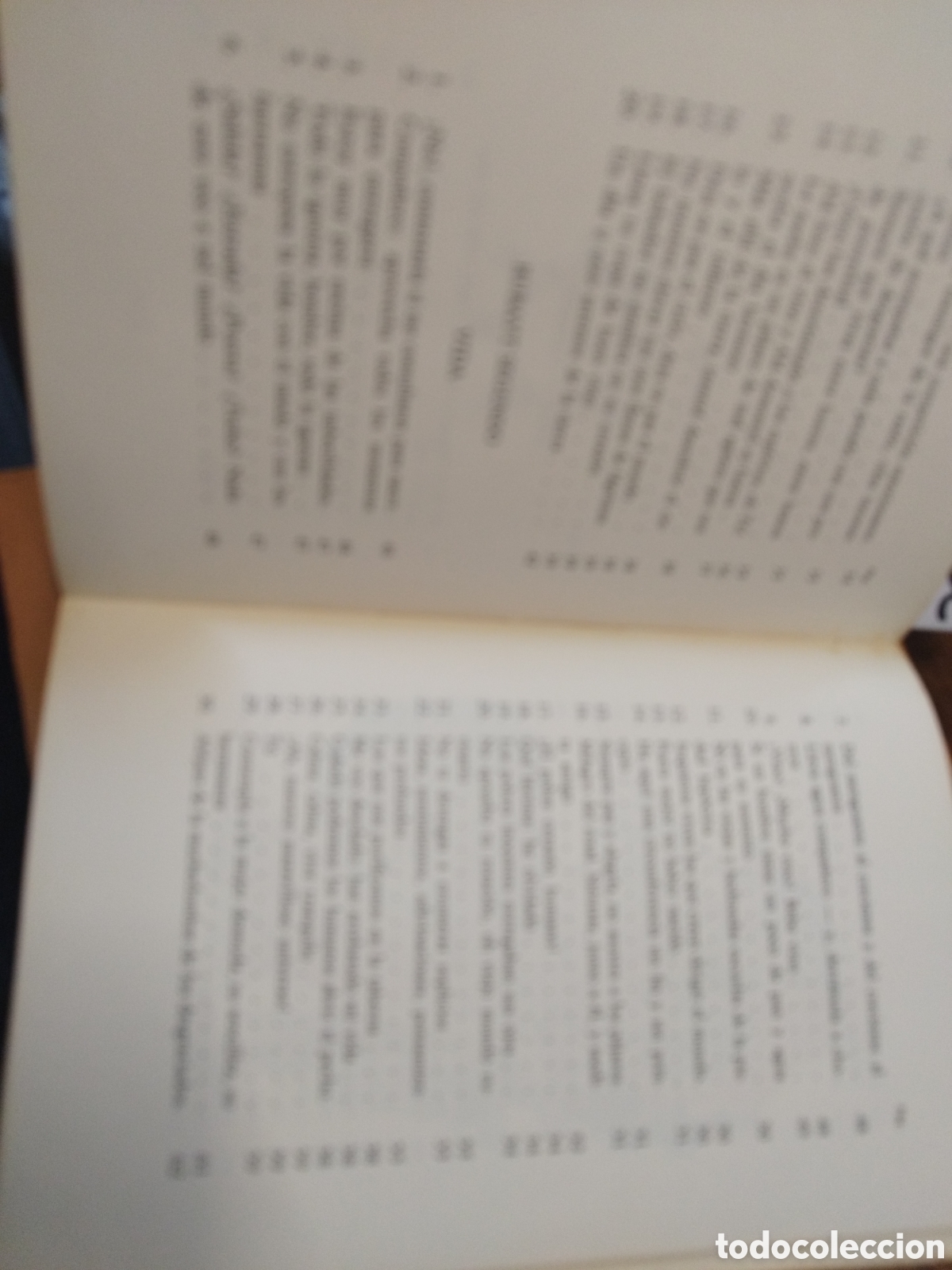 Libros: RUBAIYAT - KHEYYAN,Omar - Foto 6