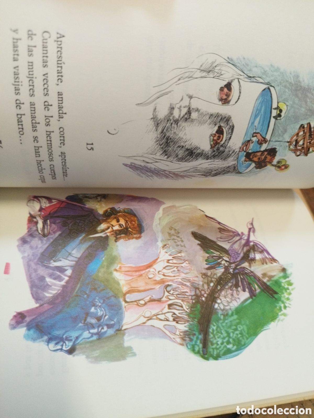 Libros: RUBAIYAT - KHEYYAN,Omar - Foto 11