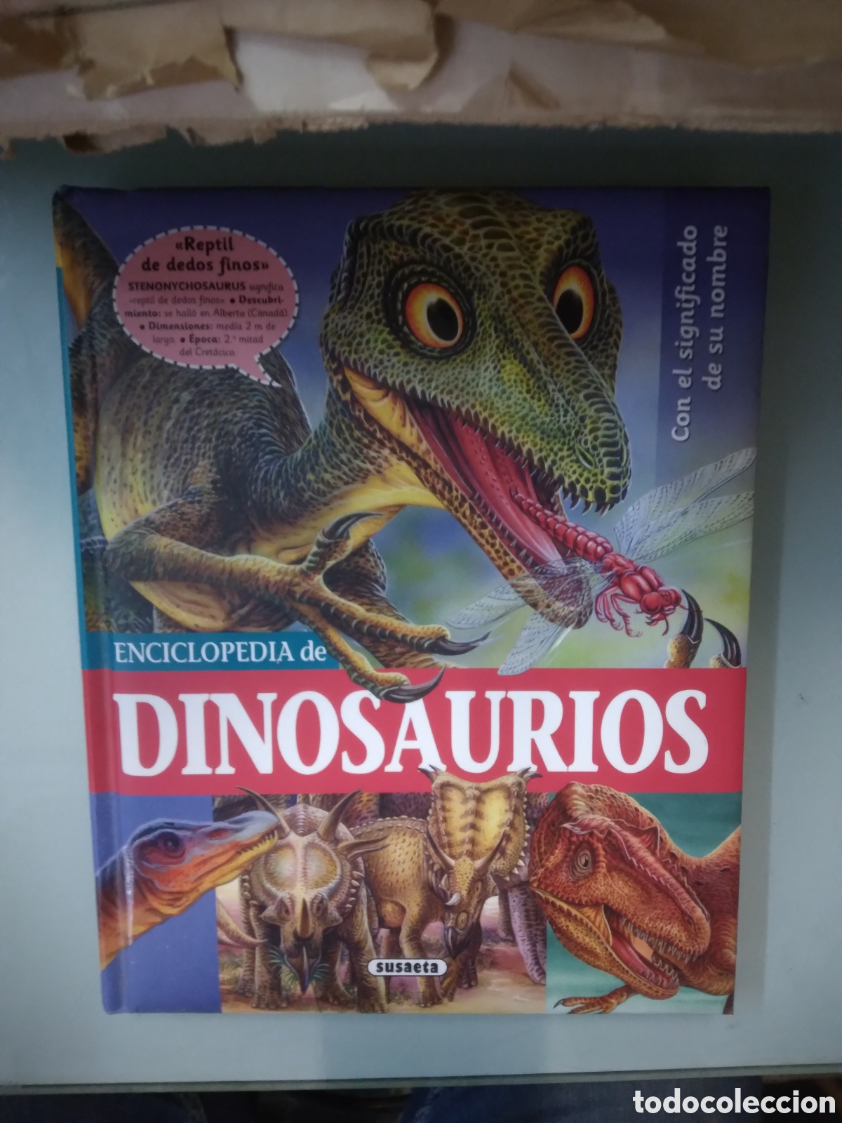 Libros: Enciclopedia de Dinosaurios, Susaeta - Foto 1
