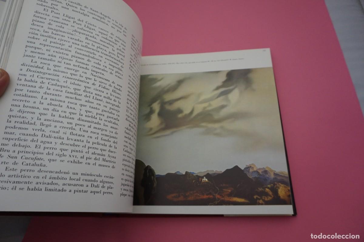 Libros: TODO DALI EN UN ROSTRO - LUIS ROMERO - Foto 7