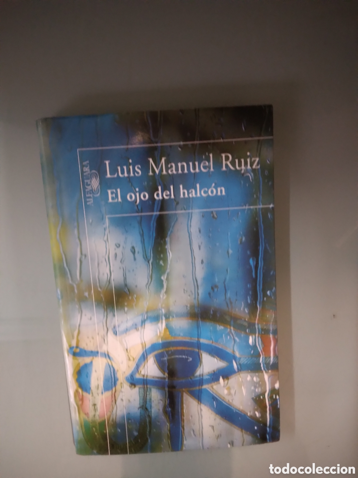 Libros: Luis Manuel Ruiz, Ell ojo del halcon, Alfaguara - Foto 1