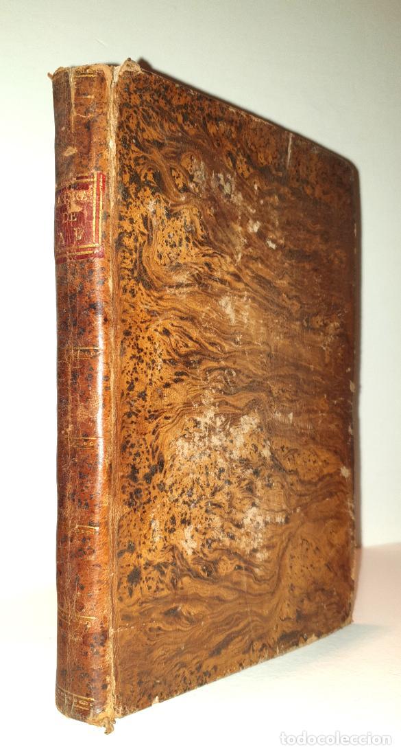 Libros: S&Aacute;TIRAS. - AMATO BENEDICTO. (Pseud&oacute;nimo de Amato Benito y N&uacute;&ntilde;ez) - Foto 1