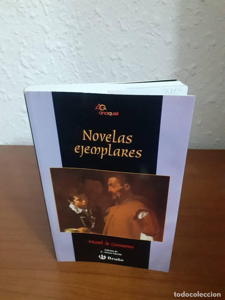 Libros: NOVELAS EJEMPLARES - Cervantes, Miguel De - Foto 1