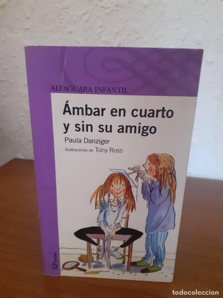 Libros: AMBAR EN CUARTO Y SIN SU AMIGO - Danziger, Paula - Foto 1