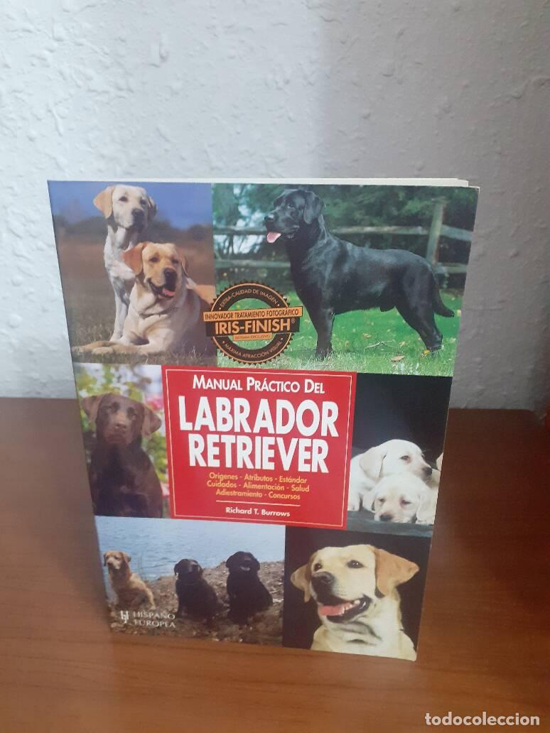 Libros: MANUAL PRACTICO DEL LABRADOR RETRIEVER - Burrows, Richard T. - Foto 1