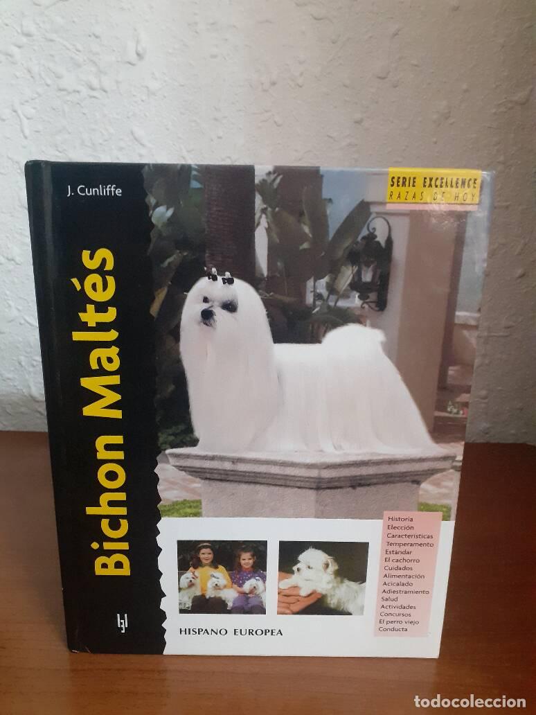 Libros: BICHON MALTES - Cunliffe, J. - Foto 1