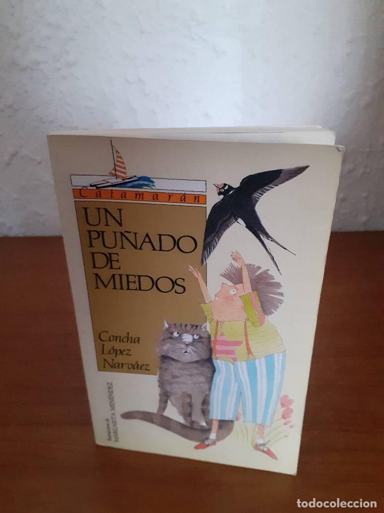 Libros: PU&Ntilde;ADO DE MIEDOS, UN - Lopez Narvaez, Concha - Foto 1