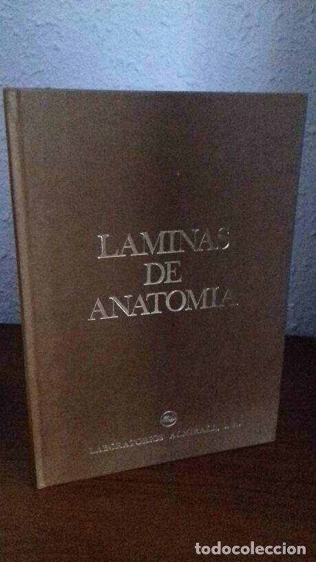 Libros: LAMINAS DE ANATOMIA - - Foto 1