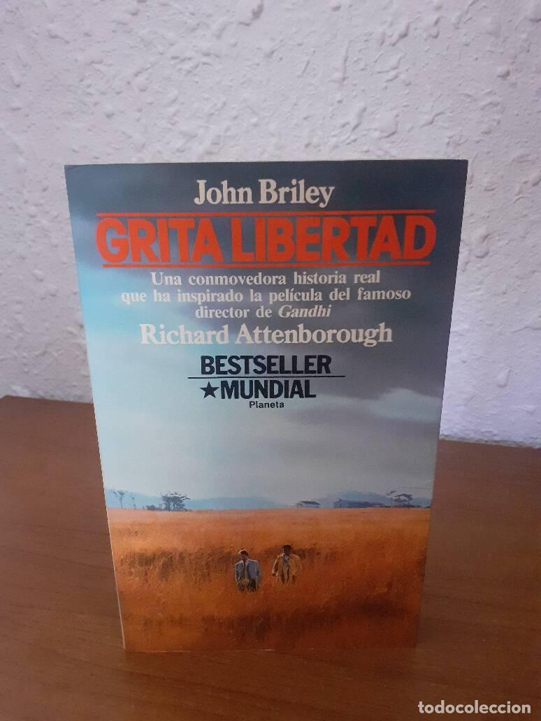 Libros: GRITA LIBERTAD - Briley, John - Foto 1