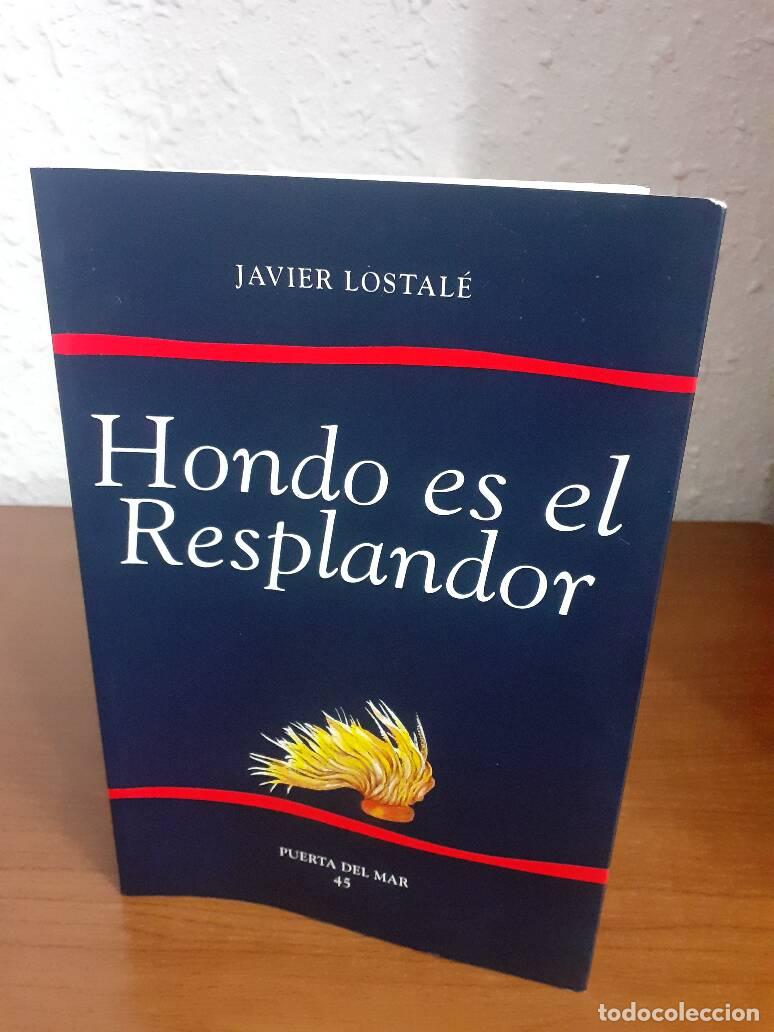 Libros: HONDO ES EL RESPLANDOR - Lostale, Javier - Foto 1