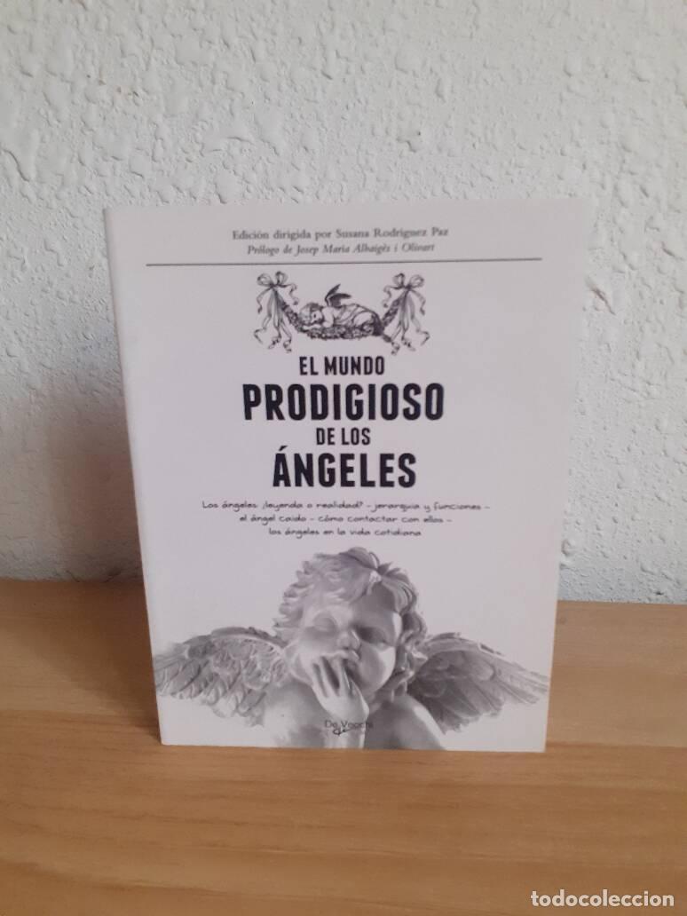 B&uuml;cher: MUNDO PRODIGIOSO DE LOS ANGELES, EL - Rodriguez Paz, Susana