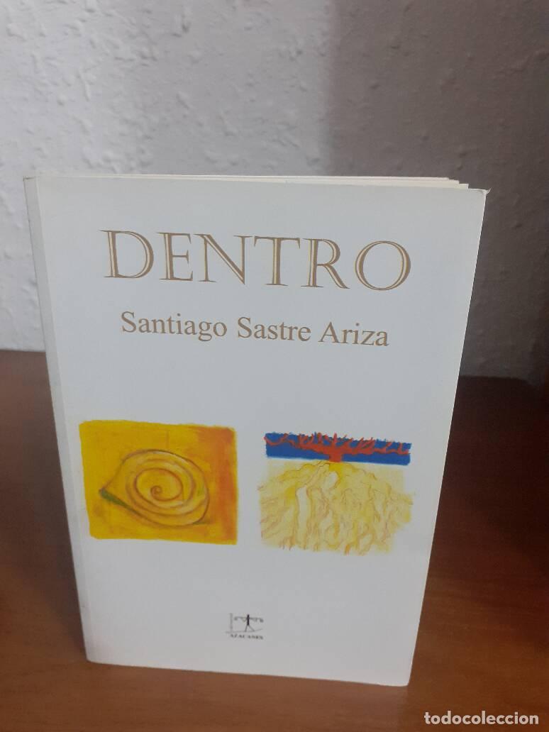 Libros: DENTRO - Sastre Ariza, Santiago - Foto 1