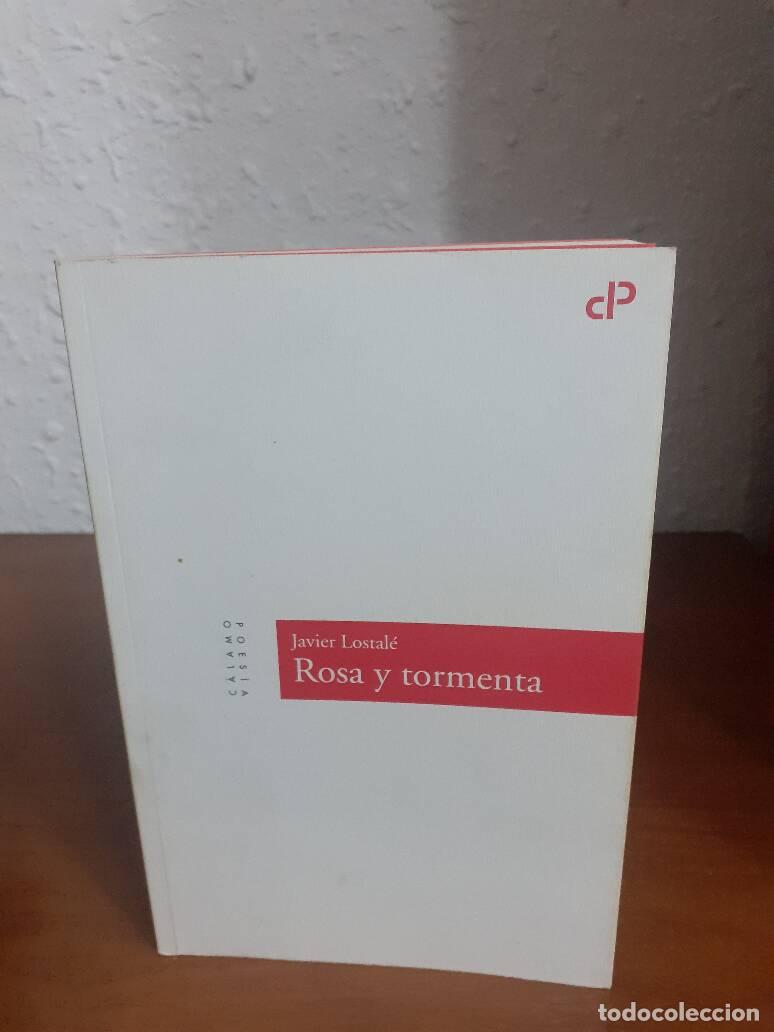 Libros: ROSA Y TORMENTA - Lostale, Javier - Foto 1