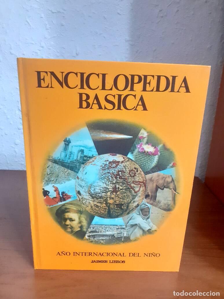 Libros: ENCICLOPEDIA BASICA A&Ntilde;O INTERNACIONAL DEL NI&Ntilde;O - - Foto 1