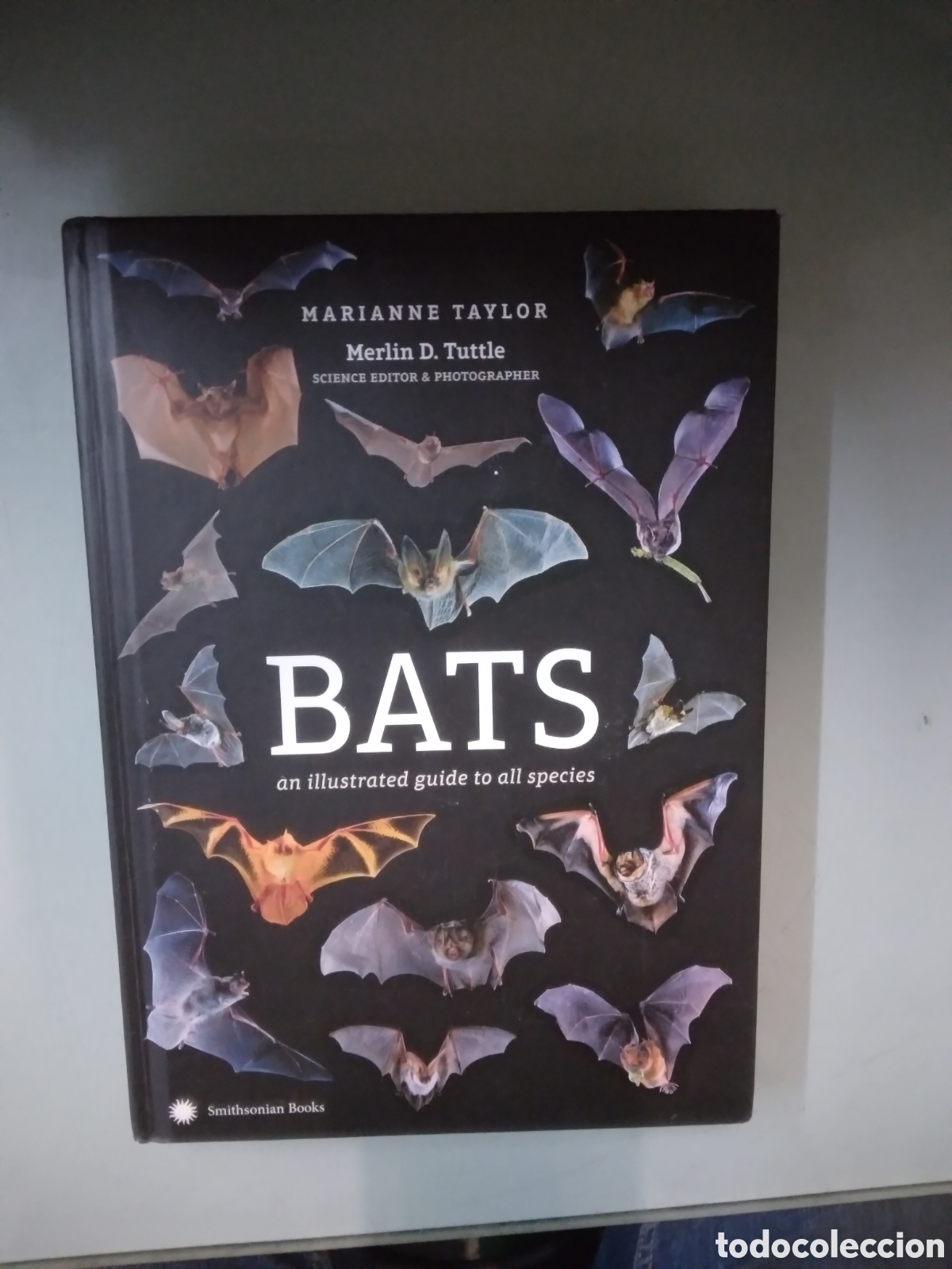 Libros: Marianne Taylor, Merlin Tuttle, Bats, Smithsonian books - Foto 1