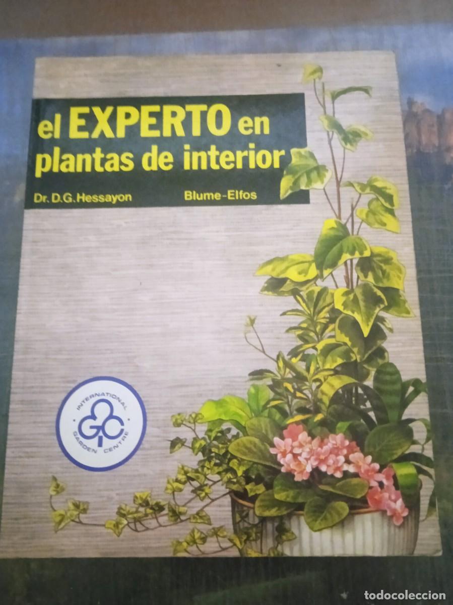 Libros: EL EXPERTO EN PLANTAS DE INTERIOR - Dr. D.G. Hessayon - Foto 1