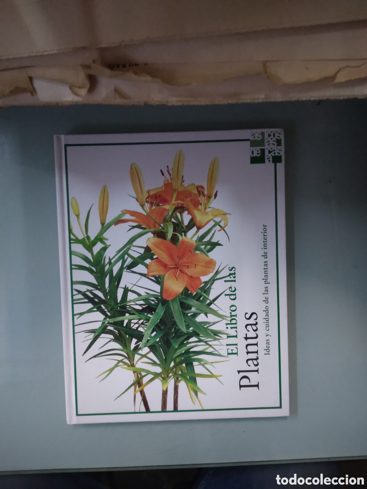 Libros: El libro de las plantas,Laura Manzanera - Foto 1