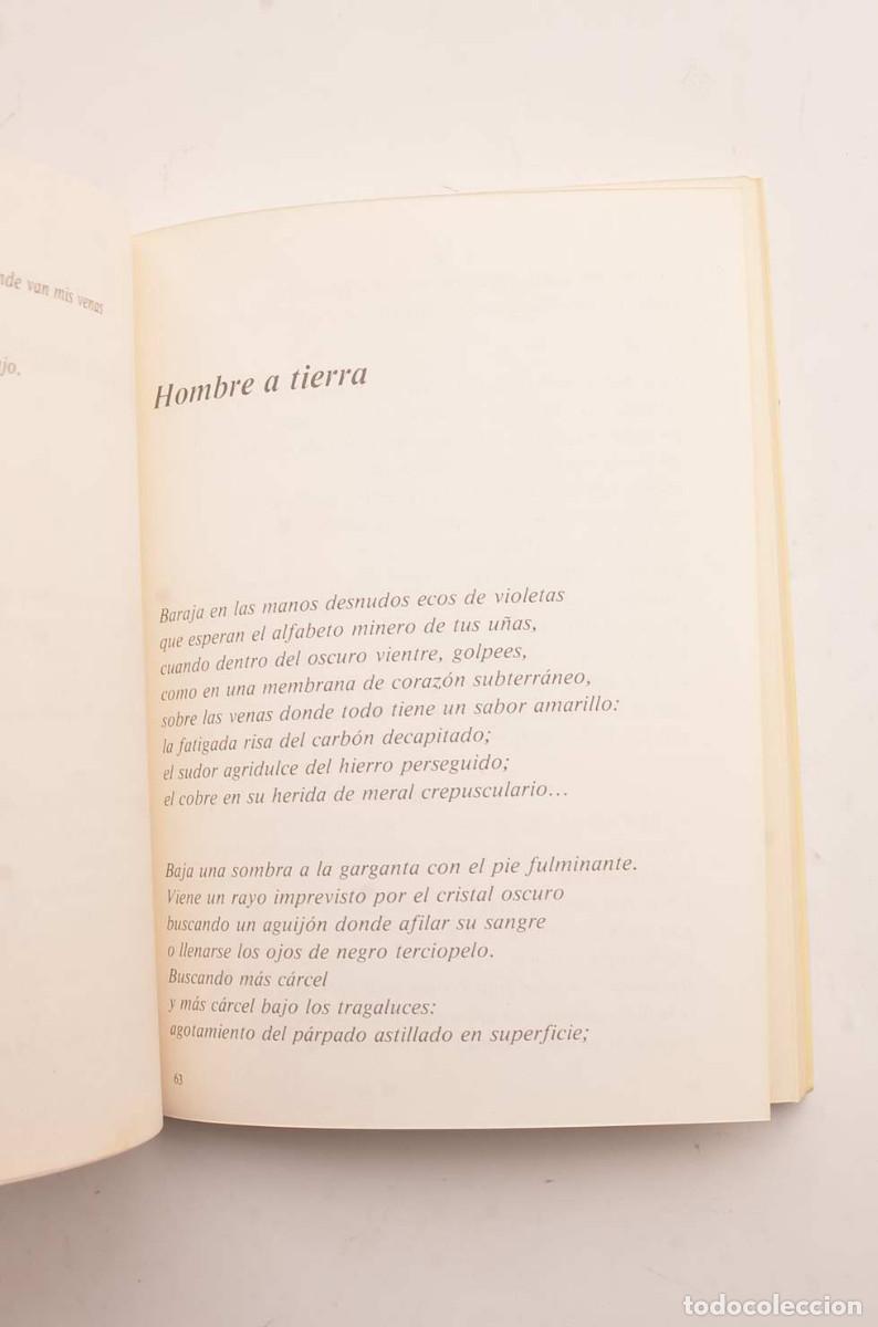 Libros: Cicatriz de vuelo - RICO, Jos&eacute; Luis - Foto 4