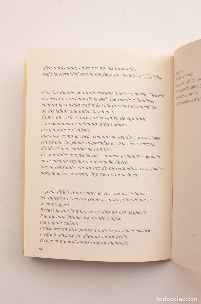 Libros: Cicatriz de vuelo - RICO, Jos&eacute; Luis - Foto 5