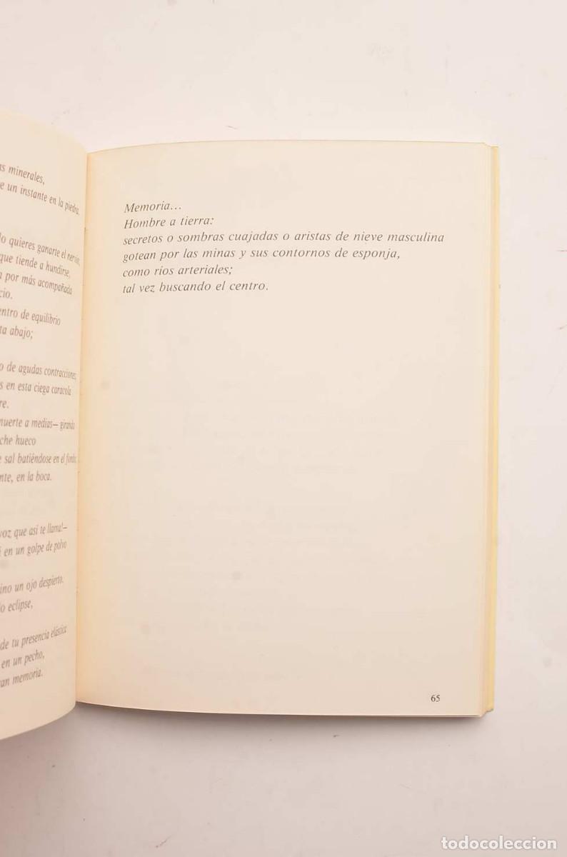 Libros: Cicatriz de vuelo - RICO, Jos&eacute; Luis - Foto 6
