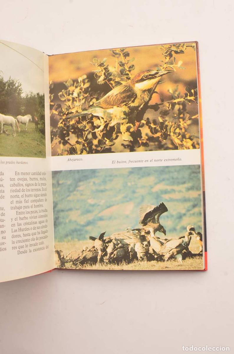 Libros: Las Hurdes - SEND&Iacute;N BL&Aacute;ZQUEZ, Jos&eacute; - Foto 3