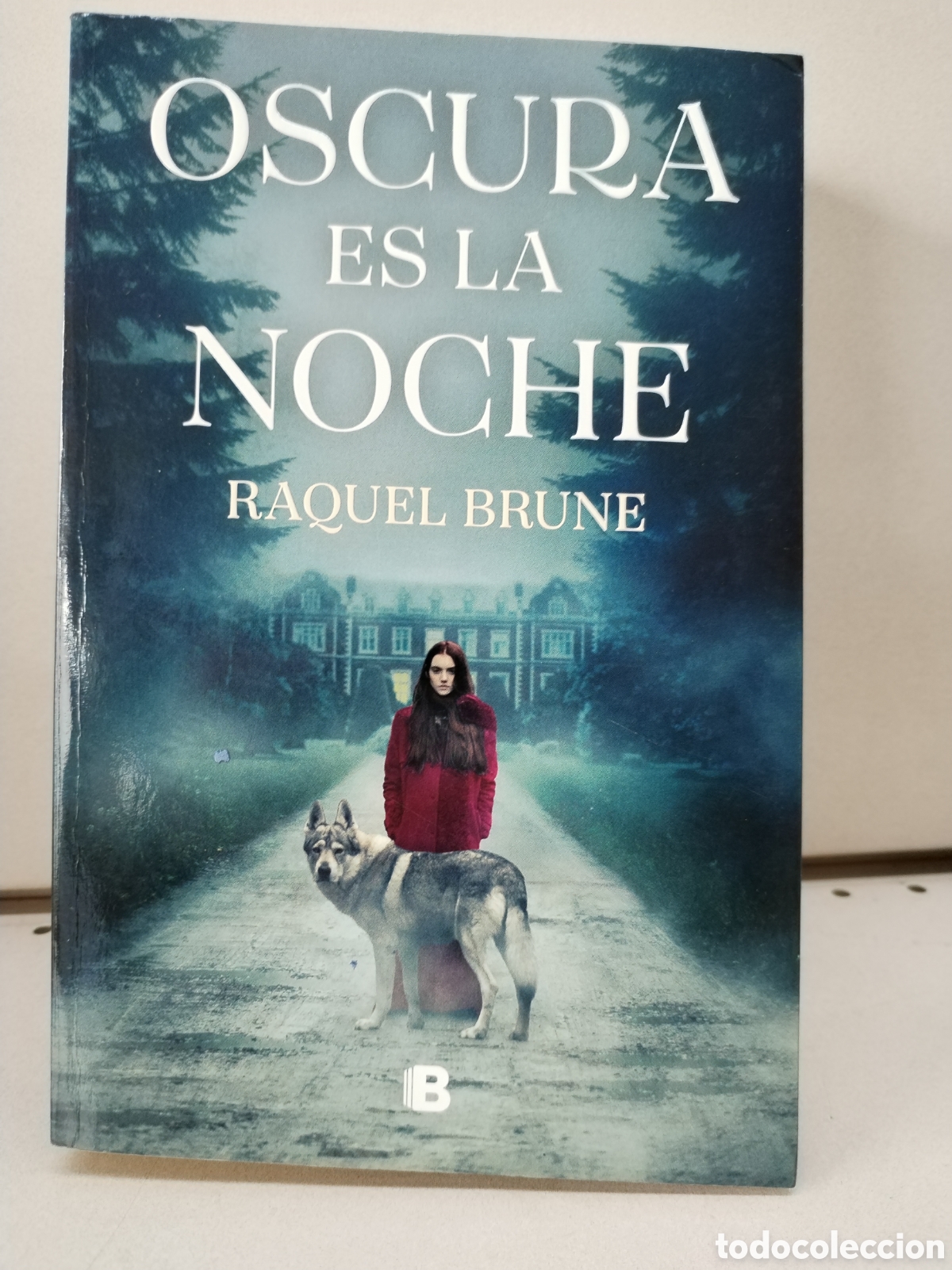 Libros: Oscura es la noche - Brune, Raquel - Foto 1