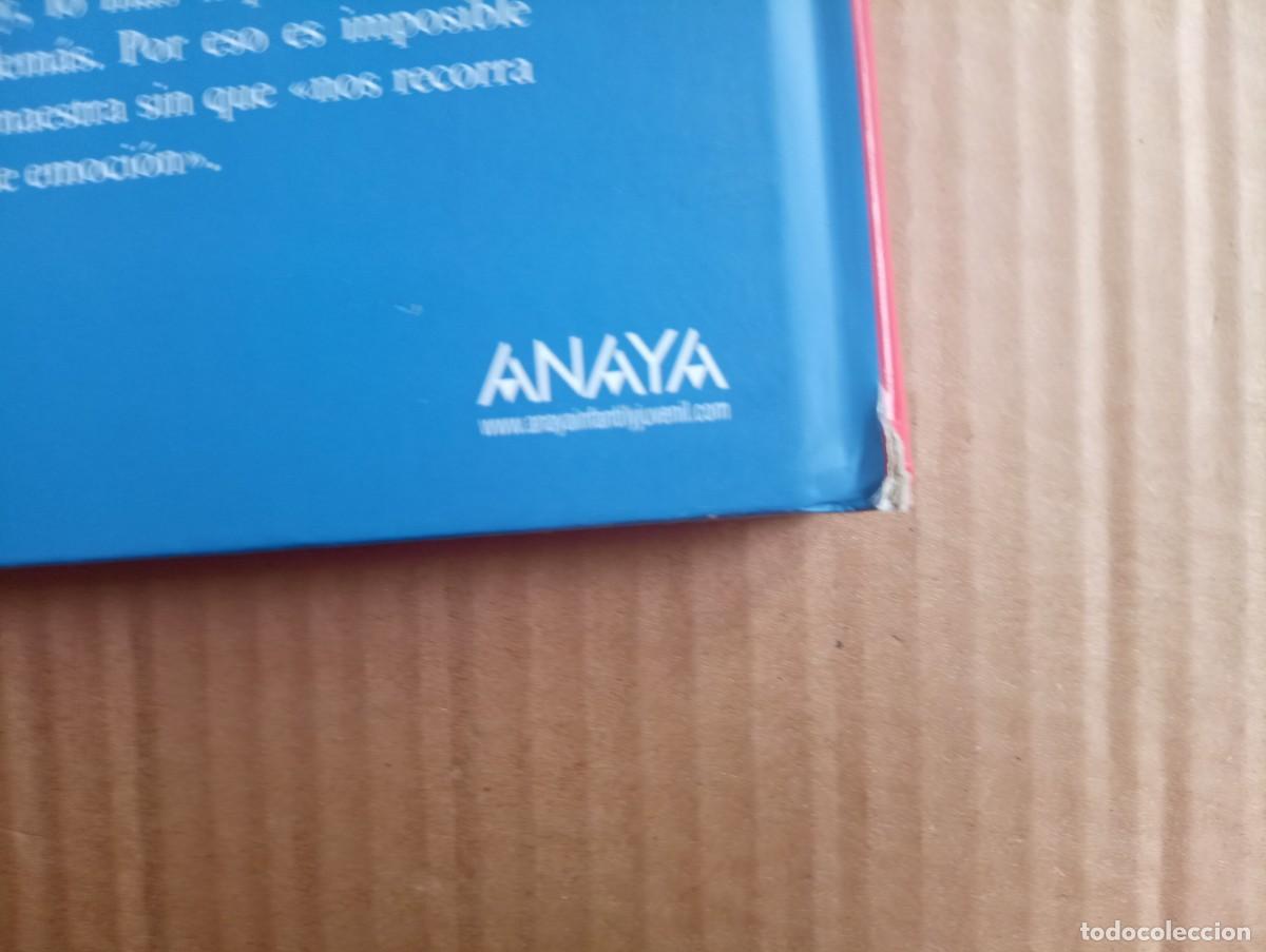 Libros: CANCION DE NAVIDAD - CHARLES DICKENS ( ANAYA 2009 ) - Foto 8