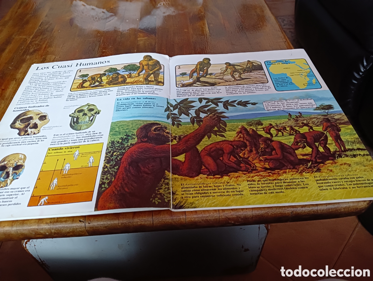 Libros: El hombre primitivo - Foto 2