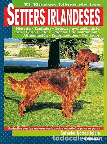 Libros: Setters Irlandeses - G&oacute;mez-Toldr&agrave;, Salvador - Foto 1
