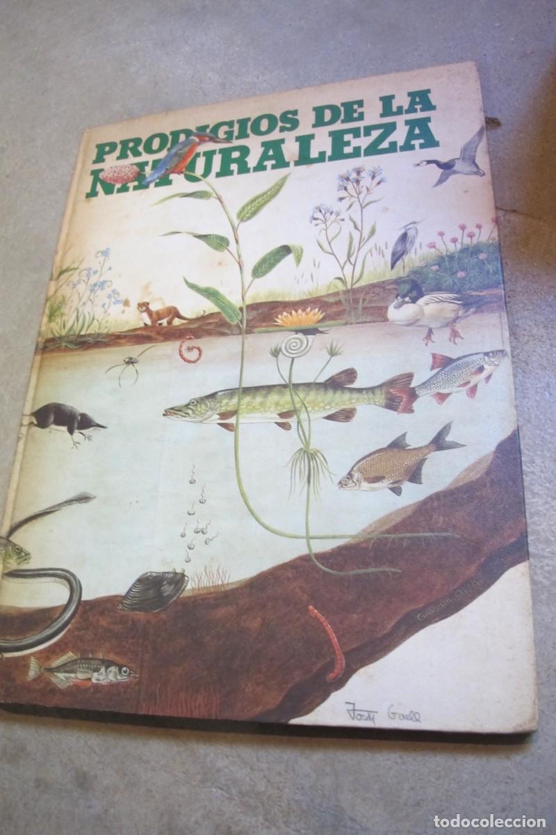 Libros: PRODIGIOS DE LA NATURALEZA. DAVID SHARP - Foto 1