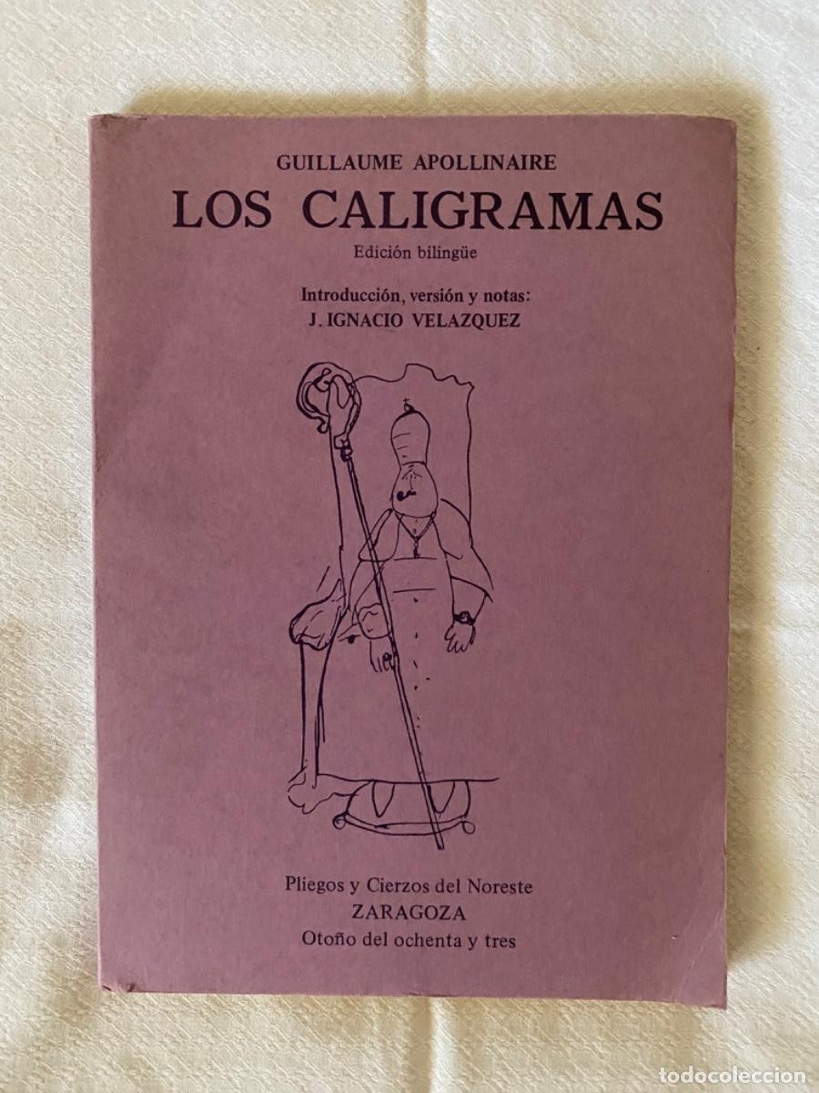 Libros: Los caligramas. Edici&oacute;n biling&uuml;e. Introducci&oacute;n, versi&oacute;n y notas: J. Ignacio Vel&aacute;zquez. - Foto 1