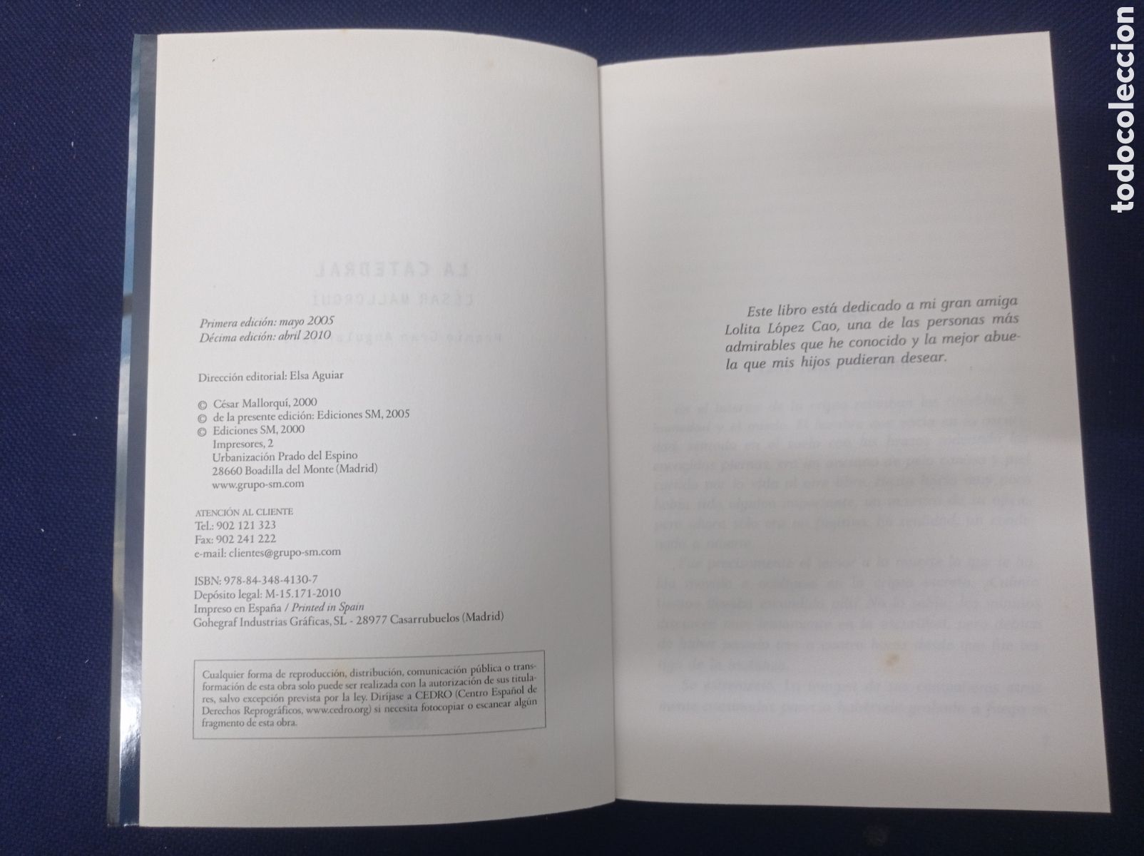 Libros: LOS LIBROS DE CESAR, LA CATEDRAL, CESAR MALLORQUI, ESTADO EXCELENTE - Foto 3
