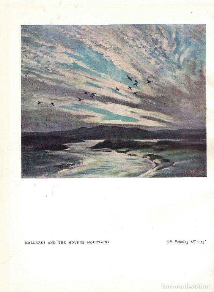 Libros: WILD CHORUS. - Scott. Peter, - Foto 2