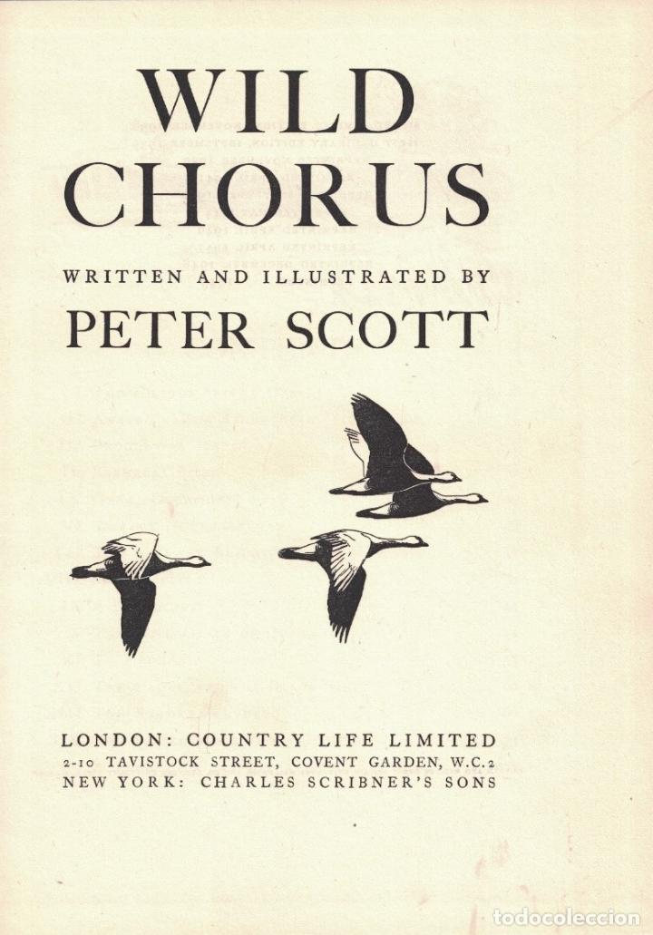 Libros: WILD CHORUS. - Scott. Peter, - Foto 1