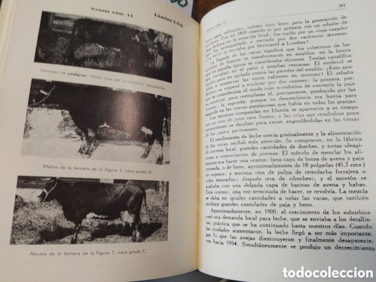 Libros: LA VACA, GRANJAS LECHERAS - FISHWICK,W.C.y SANCHEZ SAENZ,E. - Foto 5