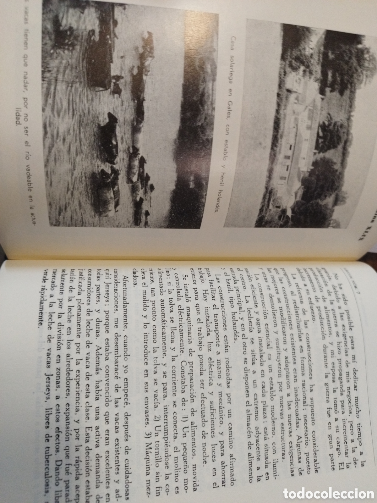 Libros: LA VACA, GRANJAS LECHERAS - FISHWICK,W.C.y SANCHEZ SAENZ,E. - Foto 6