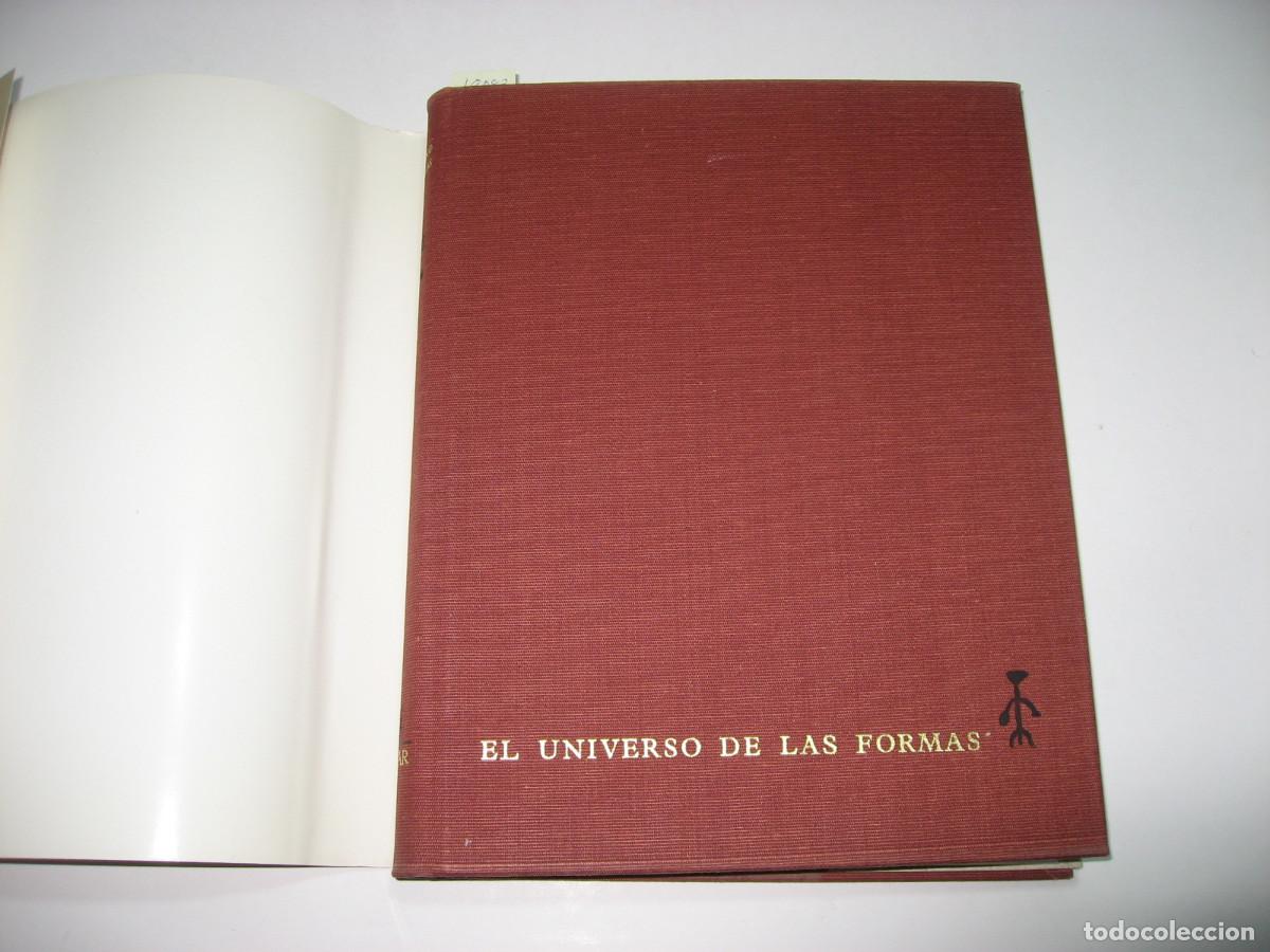 Libros: LOS CELTAS - Por Paul-Marie Duval - Foto 2