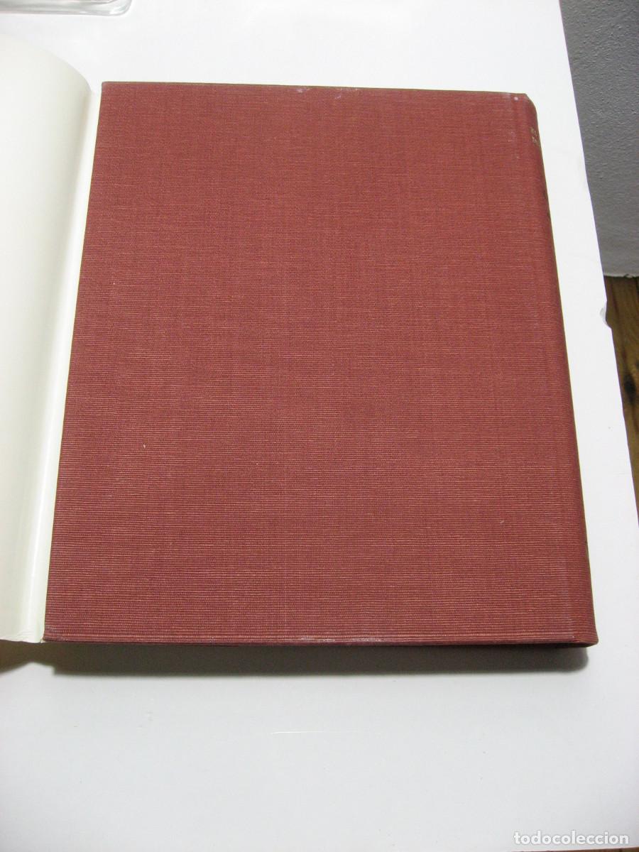 Libros: LOS CELTAS - Por Paul-Marie Duval - Foto 4