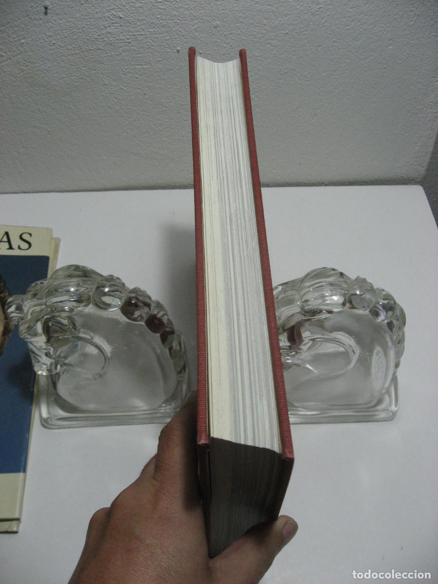 Libros: LOS CELTAS - Por Paul-Marie Duval - Foto 6