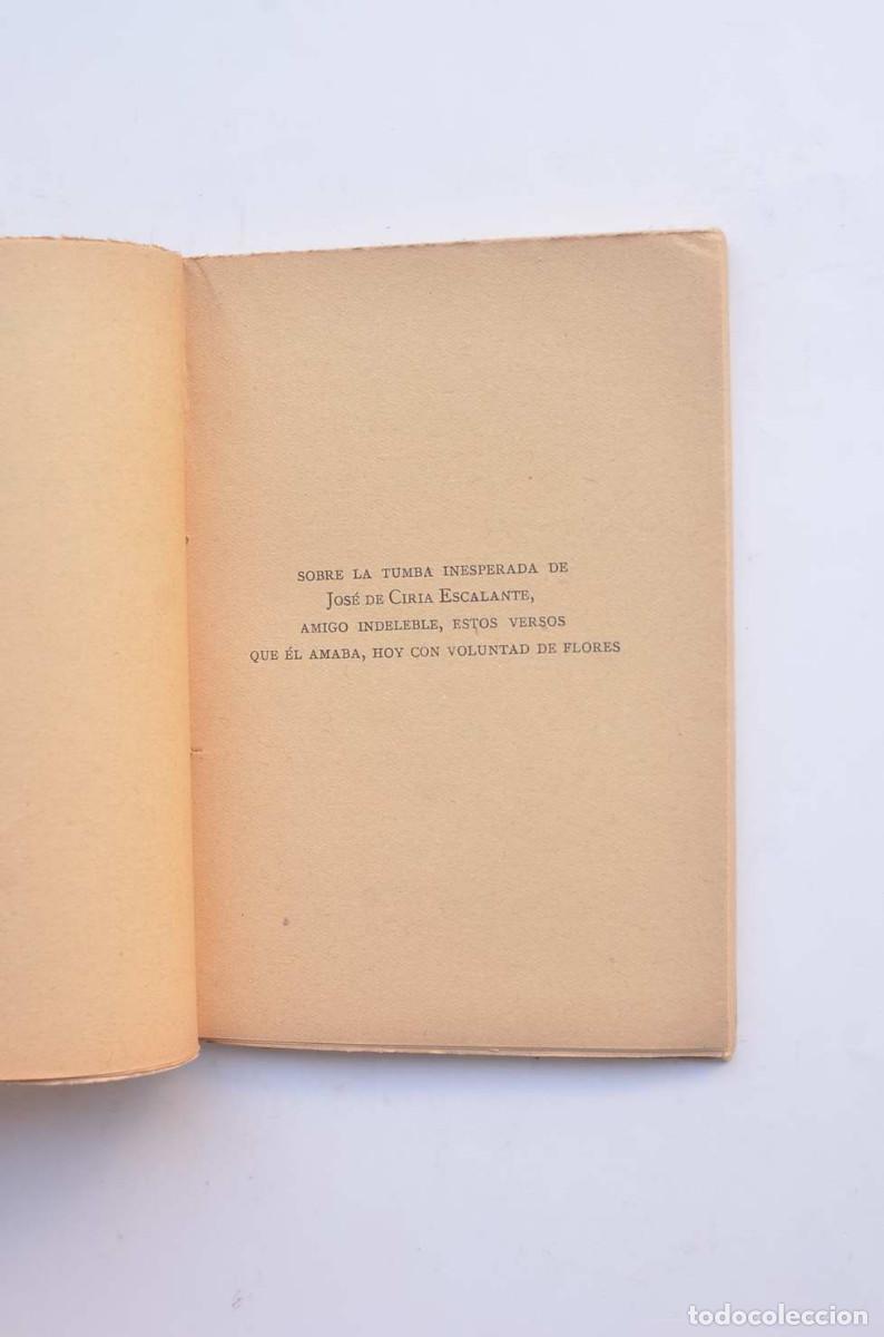 Libros: Manual de espumas - DIEGO, Gerardo - Foto 4