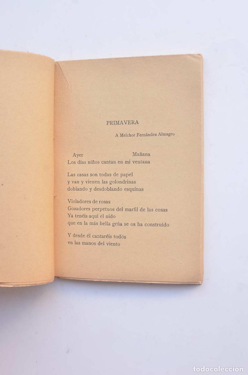Libros: Manual de espumas - DIEGO, Gerardo - Foto 5