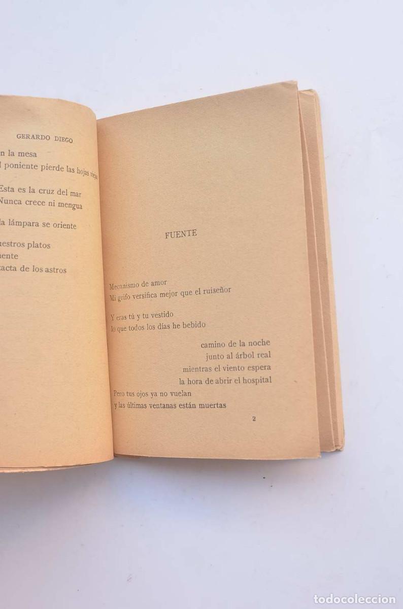 Libros: Manual de espumas - DIEGO, Gerardo - Foto 6